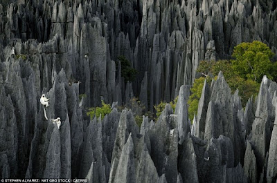 ������� Grand Tsingy photos (1).jpg